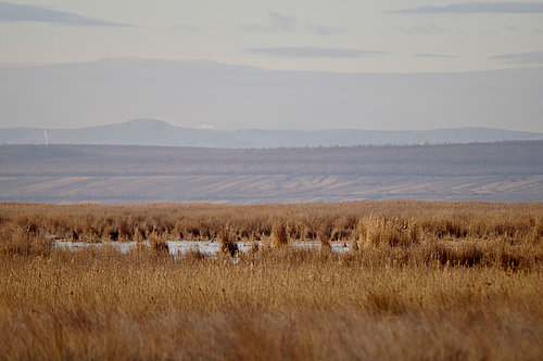 Far view, (c) Neusiedler See Tourism / Annika Thell