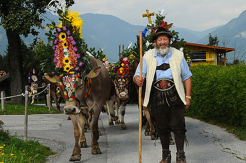 Almabtrieb, ©Alpbachtal Seenland Tourismus / Grießenböck Gabriele