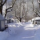 Seecamp Zell am See - Zell am See | Zeller See