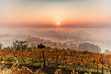 Autumn in the Wachau, © Donau Niederösterreich / Robert Herbst