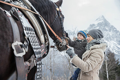 Horse sleigh ride, © Horse sleigh ride(c)TZA_C.Jorda(1)