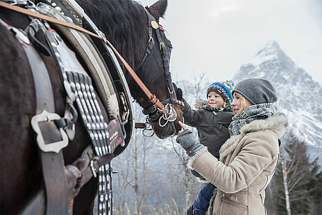 Horse sleigh ride, © Horse sleigh ride(c)TZA_C.Jorda(1)