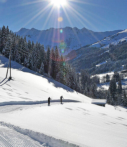 Langlauf Seeblick Toni