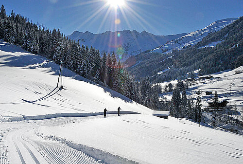 Langlauf Seeblick Toni