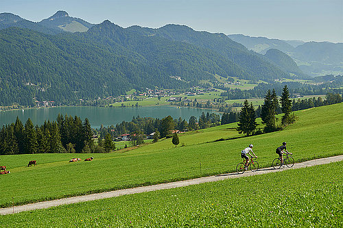 Radfahren beim Walchsee, (c) Tirol Werbung / Marshall George