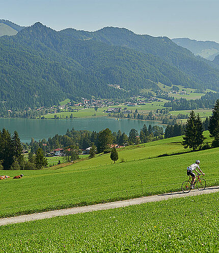 Radfahren beim Walchsee, © Tirol Werbung / Marshall George