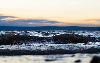 Waves on Lake Neusiedl, (c) Bathing fun, (c) Neusiedler See Tourismus / Annika Thell