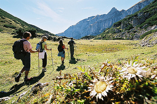 Wanderer und Silberdistel, ©Alpbachtal Seenland Tourismus / Berger Bernhard