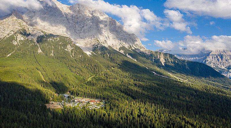 Mitten im grünen © Günter Standl