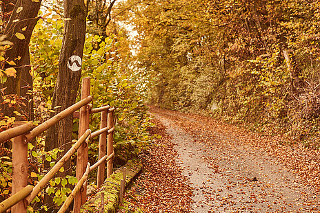 Autumn hike on the Nibelungengau long-distance hiking trail near Leiben, Nibelungengau, © Donau Niederösterreich / Klaus Engelmayer