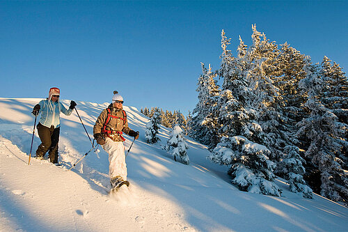 Schneeschuhwandern im Alpbachtal, (c) Alpbachtal Tourismus/Berger Bernhard