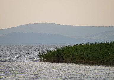 Lake Neusiedl, (c) Bathing fun, (c) Lake Neusiedl Tourism / Annika Thell