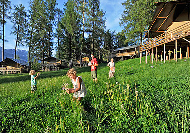 Flower meadow Natterersee