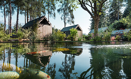 Ferienparadies Natterer See Secret Koi Garden