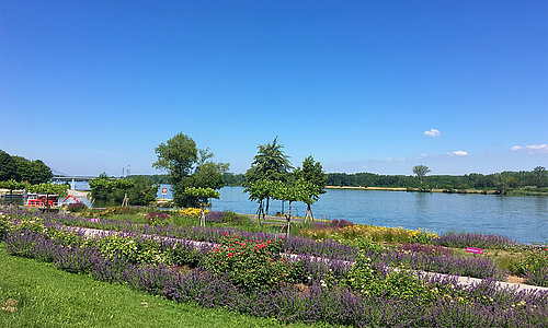 Tulln aan de Donau