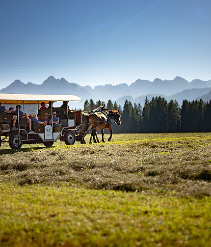 Eurocamp Wilder Kaiser Kössen
