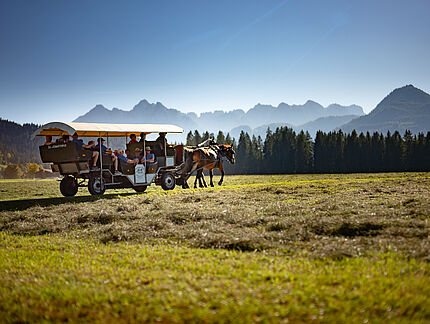 Eurocamp Wilder Kaiser Kössen