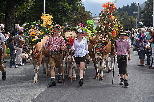 Almabtrieb Fieberbrunn © Marion Pichler