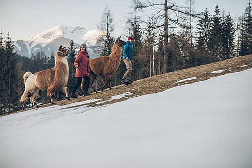 Llama hiking, © Llama hiking(c)TZA_C.Jorda(2)